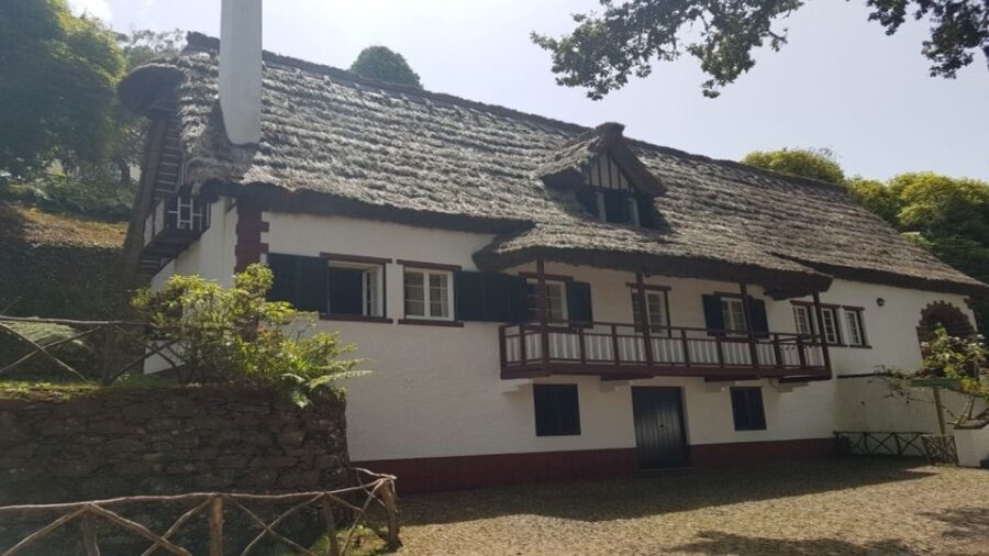 Madeira: Private Half-Day North East Island Tour - What Do the Reviews Say?