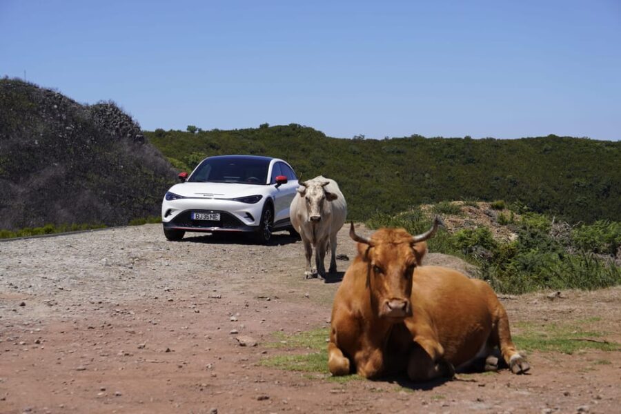 Madeira Private Premium Eco-Friendly Tour in Electric Car - The Experience: What You’ll Really Get