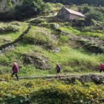 Madeira: Private Vereda do Larano Hike - The Experience in Detail