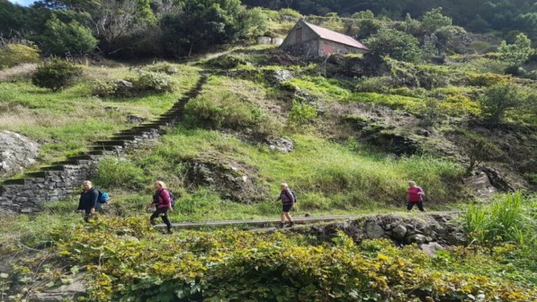 Madeira: Private Vereda do Larano Hike - The Experience in Detail