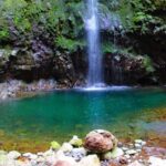Madeira: Queimadas, Caldeirão Verde and Levada Walk - The Guide and Group Experience