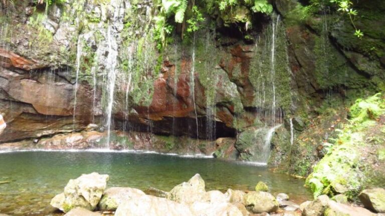 Madeira: Rabaçal, Risco and 25 Fontes Guided Hiking Tour - The Value of the Experience