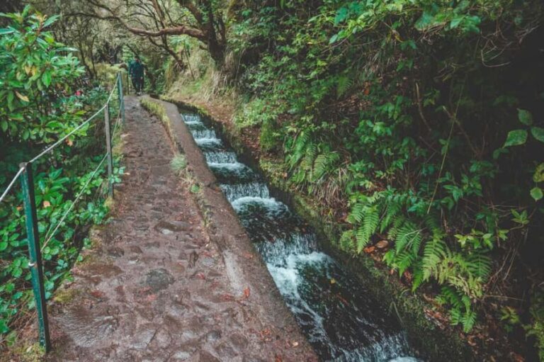 Madeira: Rabaçal Valley and the 25 Fountains Hike - The Experience and What It Means for You