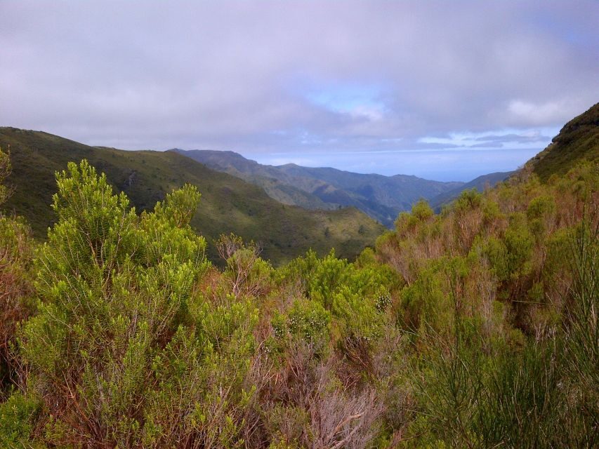 Madeira: Rabaçal Valleys 3-Hour Guided Walk - Who Should Consider This Tour?