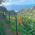 Madeira: Reach the Sun Hike Levada Nova Moinhos Ponta do Sol - What to Expect from the Hike