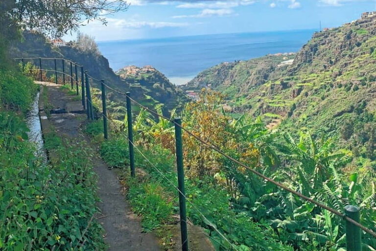 Madeira: Reach the Sun Hike Levada Nova Moinhos Ponta do Sol - What to Expect from the Hike