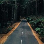 Madeira: Santana; Discover the enchanting East: Duration 7,5h - What’s Included and What’s Not