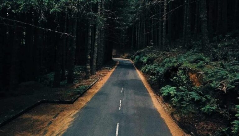 Madeira: Santana; Discover the enchanting East: Duration 7,5h - What’s Included and What’s Not