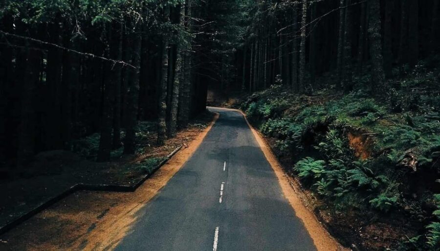 Madeira: Santana; Discover the enchanting East: Duration 7,5h - What’s Included and What’s Not