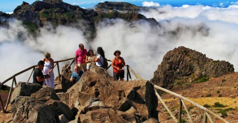 Madeira : Santana & Peaks full day tour by Open 4x4 - The Itinerary: What You’ll See and Do