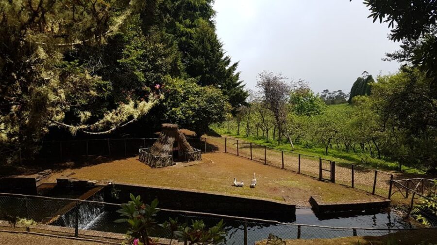Madeira: Santana Traditional Houses Private Half-Day Tour - A Close Look at the Tour Experience