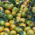 Madeira : Santo de Serra Local Farmers' Market half day trip - Who Will Love This Tour?