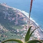 Madeira: Self-Driven Half-Day Motorcycle Tour with a Guide - An Honest Look at the Madeira Motorcycle Tour