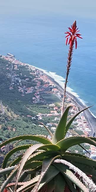 Madeira: Self-Driven Half-Day Motorcycle Tour with a Guide - An Honest Look at the Madeira Motorcycle Tour
