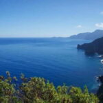 Madeira: Sightseeing Tour - Practical Details