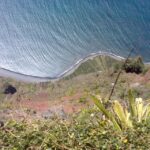 Madeira South West: Half Day Private Tour - Who Will Love This Tour?