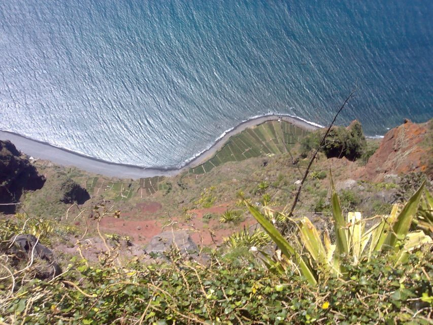 Madeira South West: Half Day Private Tour - Who Will Love This Tour?