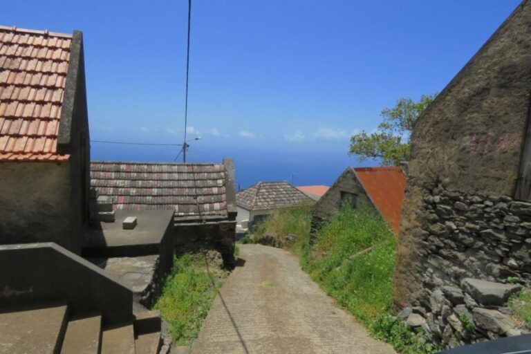 Madeira : Southwest coast, Run & Anjo´s Waterfall 4x4 Tour - The Details That Make the Difference