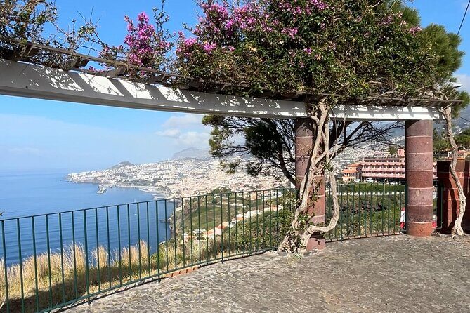 Madeira Special Private Tuk-Tuk City Tour Experience by MadTuk - Final Thoughts