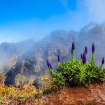Madeira Stairway to Heaven to Larano Hike Mountain to Sea - Details That Matter for Your Planning