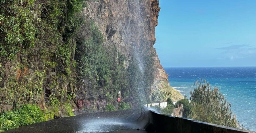 Madeira: Sunny South Side - Cabo Girão, Waterfalls, C. Lobos - Why This Tour Works Well