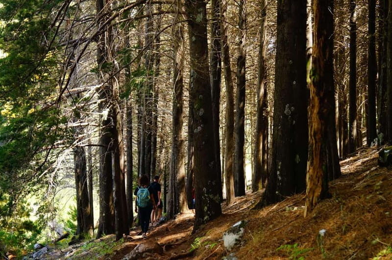 Madeira : Sunrise at Pico do Arieiro + 2 Hikes - PR1 and PR3 - The Practical Side: What to Expect and Tips