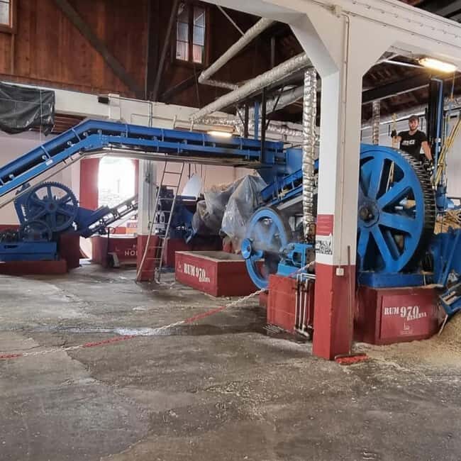 Madeira: Surreal East Experience - What Youll Love and What to Consider