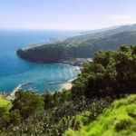 Madeira tour- Santana - Full Day - Ribeiro Frio: Nature’s Harmony