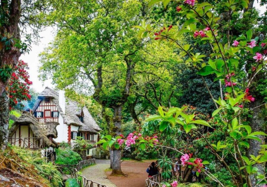 Madeira: Walking Tour - Queimadas / Caldeirão Verde - Why Choose This Tour?