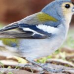 Madeira : Walking Tour-Rabaçal /25 Fontes - Authentic Reviewer Insights