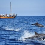 Madeira: Whale Watching Excursion in a Traditional Vessel - What to Expect During the Trip