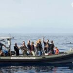 Madeira: Whale Watching Tour by Stenella - The Itinerary: What to Expect on Your 2-Hour Journey