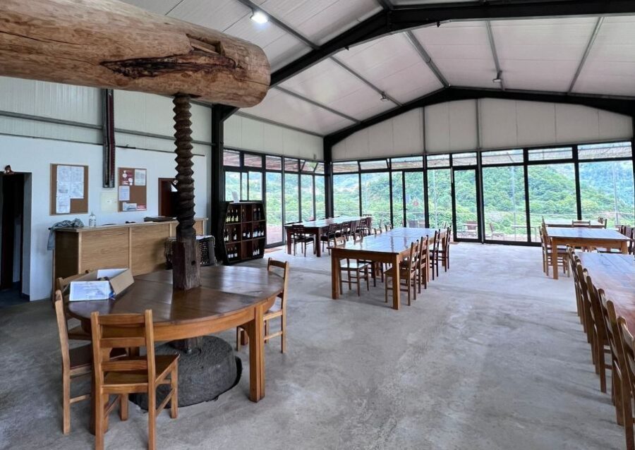 Madeira: Wine Tasting Guided Tour, Jeep Safari, & Viewpoints - Real Traveler Insights