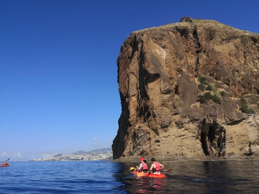 Madeiras Marine Reserve: Kayak & Snorkelling Trip - What to Expect from This Tour