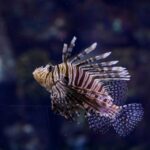 Madrid: Atlantis Aquarium Entry Ticket - Reviews and Visitor Experiences