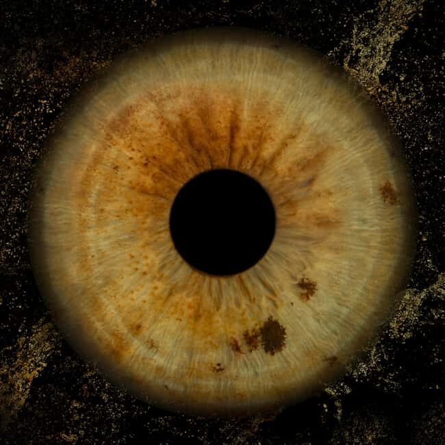 Madrid: Discover the colors of your iris with printing included - The Photography Session