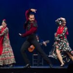 Madrid: "Emociones" Live Flamenco Performance - Understanding the Experience