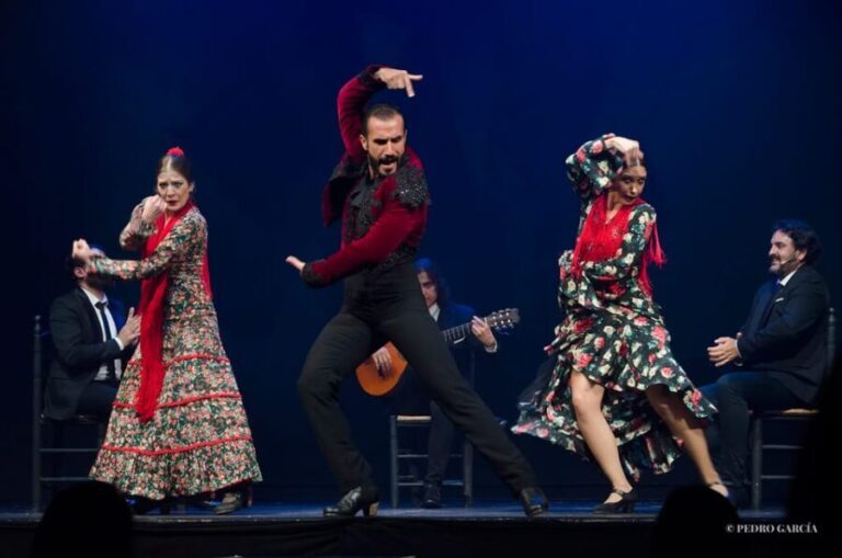Madrid: "Emociones" Live Flamenco Performance - Understanding the Experience