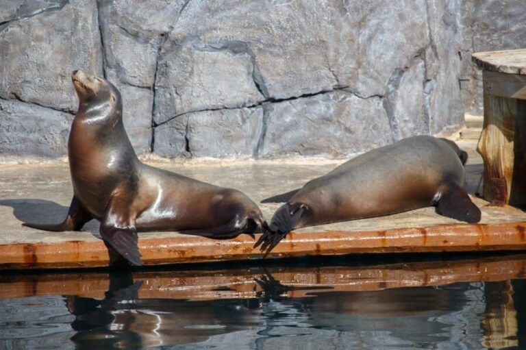 Madrid: Faunia Entry Ticket - Who Would Love This?