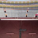Madrid: Las Ventas Bullring VIP Private Guided Tour - What to Expect & Considerations
