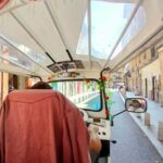 Madrid: Private Tuk-Tuk Tour Highlights - Experience Overview and What to Expect