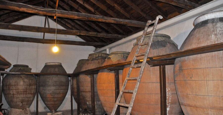 Madrid: Regional Madrid Wineries Guided Tour and Tastings - A Deep Dive into the Itinerary and What You Can Expect