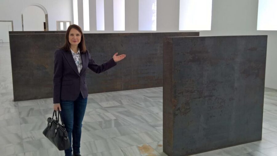 Madrid Reina Sofia Museum & Picasso's Guernica Private Tour - What Makes This Tour Stand Out?