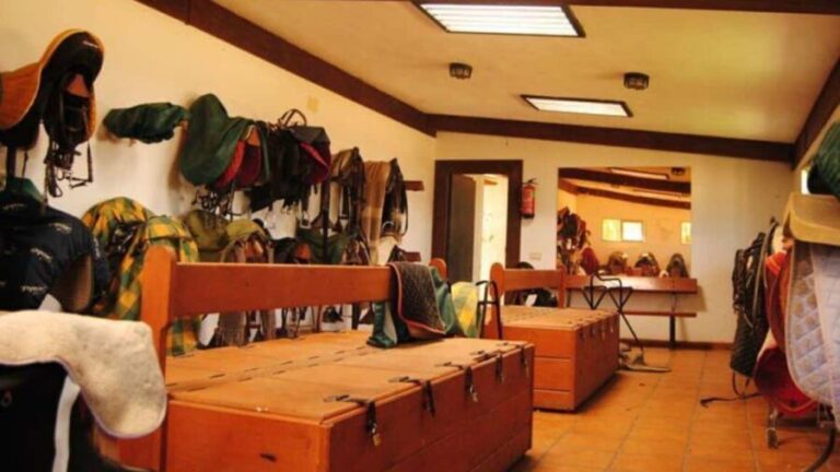 Madrid: Sierra de Guadarrama Horseback Riding Experience - The Itinerary Breakdown