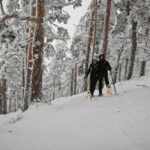 Madrid: Snowshoe tour - What the Tour Entails