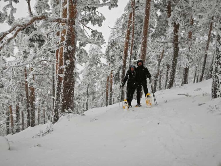 Madrid: Snowshoe tour - What the Tour Entails