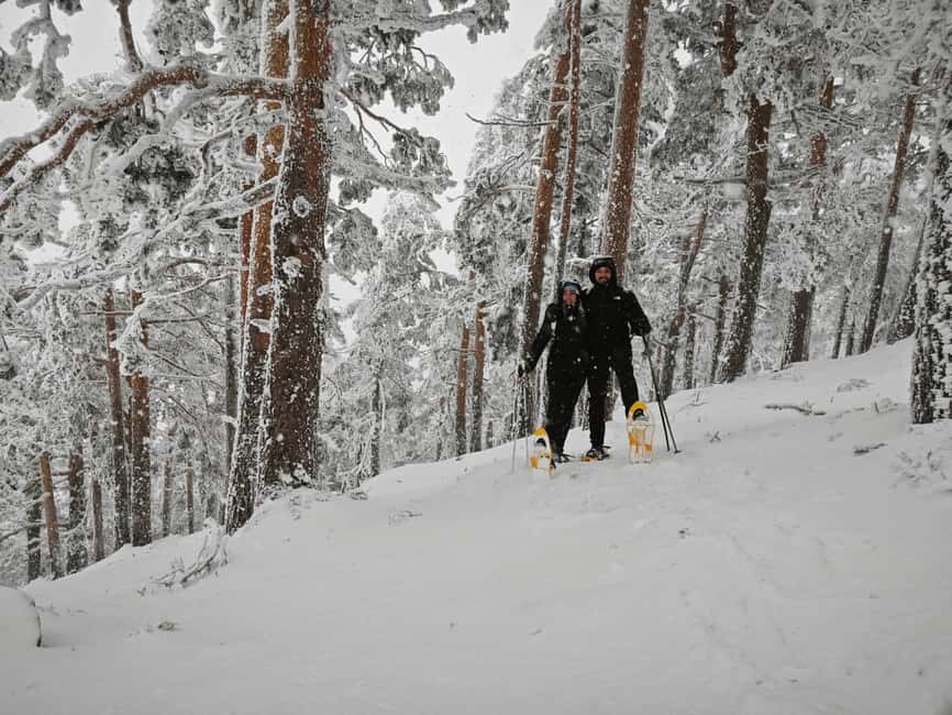 Madrid: Snowshoe tour - What the Tour Entails