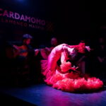 Madrid: Tablao Cardamomo Flamenco Show with 1 drink included - Exploring the Flamenco Experience at Cardamomo