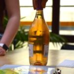 Madrid: Wine Tasting Experience with 4 Spanish Wines - The Experience Itself: What You Can Expect