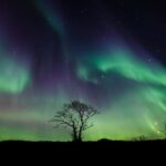 Magic Aurora Borealis Hunting with Photographer - The Wilderness Journey: What to Expect